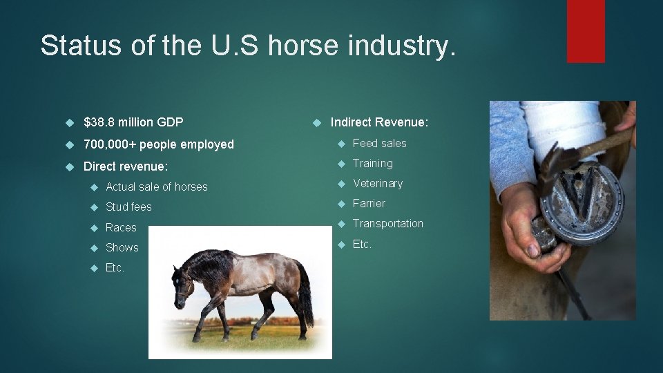 Growth and Decline of the Equine Industry Objectives