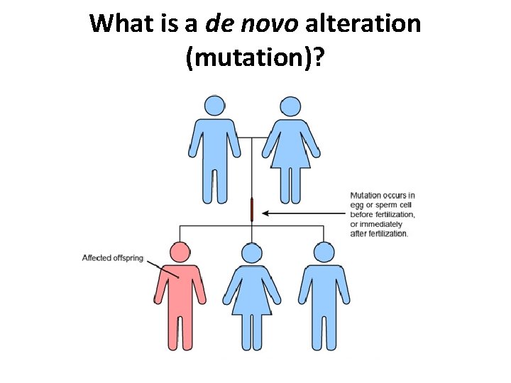 What is a de novo alteration (mutation)? 