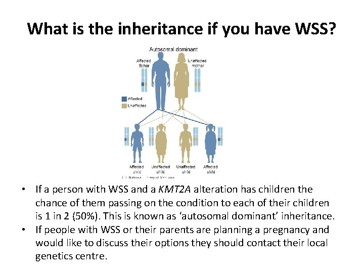 What is the inheritance if you have WSS? • If a person with WSS