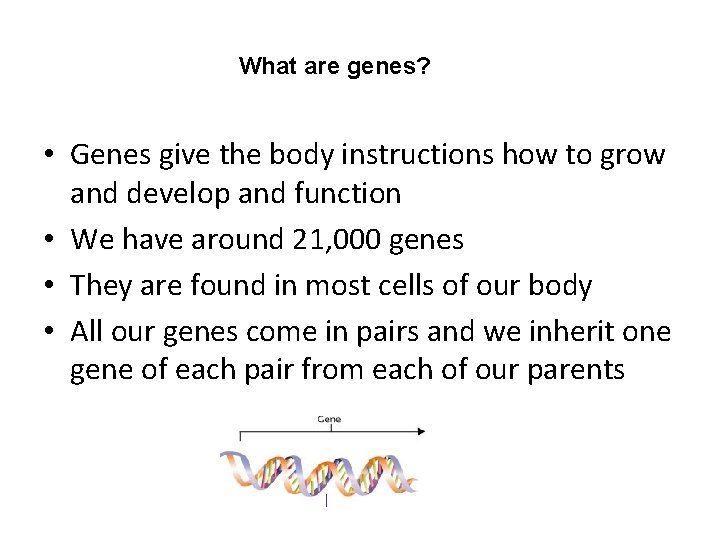 What are genes? • Genes give the body instructions how to grow and develop