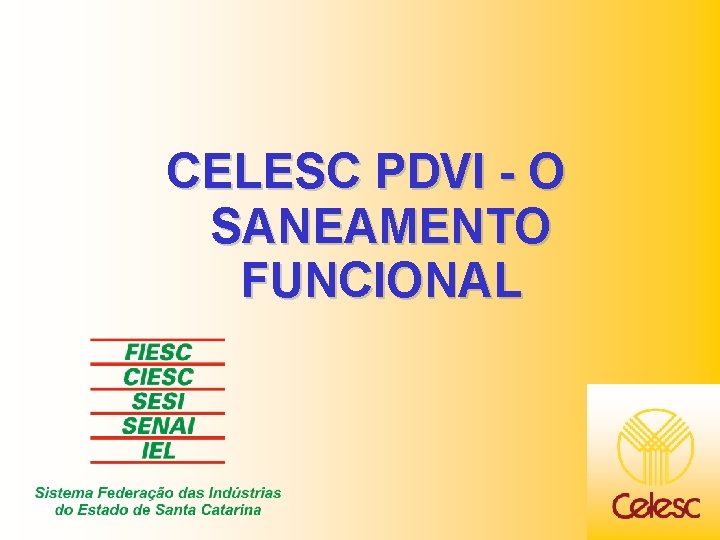 CELESC PDVI - O SANEAMENTO FUNCIONAL 