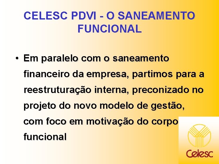 CELESC PDVI - O SANEAMENTO FUNCIONAL • Em paralelo com o saneamento financeiro da