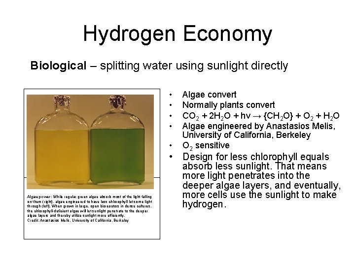 Hydrogen Economy Biological – splitting water using sunlight directly • • • Algae power: