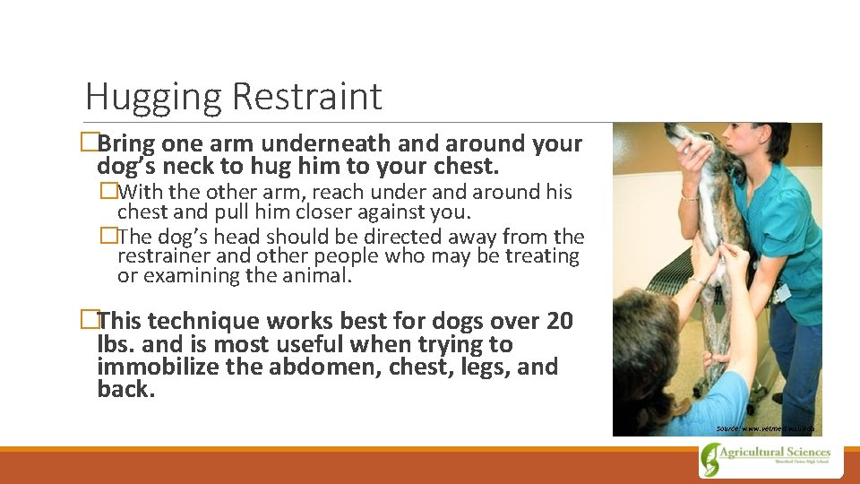 Hugging Restraint �Bring one arm underneath and around your dog’s neck to hug him
