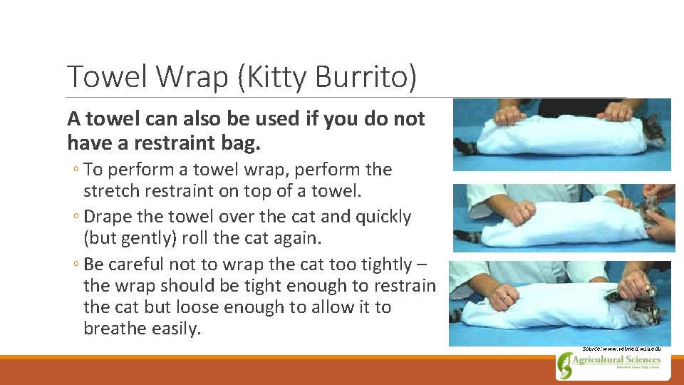 Towel Wrap (Kitty Burrito) A towel can also be used if you do not