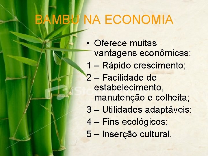 BAMBU NA ECONOMIA • Oferece muitas vantagens econômicas: 1 – Rápido crescimento; 2 –