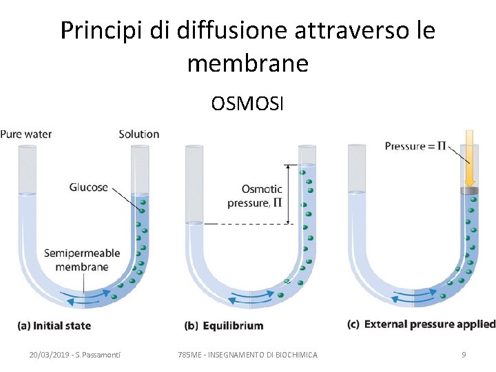 Principi di diffusione attraverso le membrane OSMOSI 20/03/2019 - S. Passamonti 785 ME -