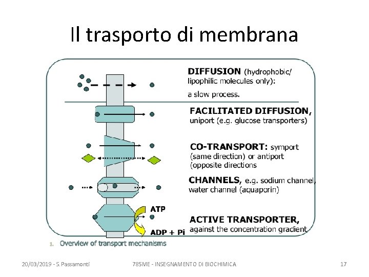 Il trasporto di membrana 20/03/2019 - S. Passamonti 785 ME - INSEGNAMENTO DI BIOCHIMICA