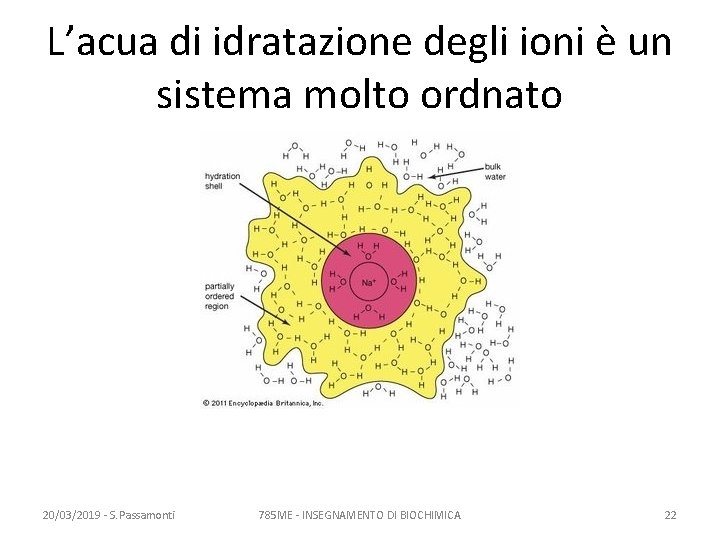 L’acua di idratazione degli ioni è un sistema molto ordnato 20/03/2019 - S. Passamonti