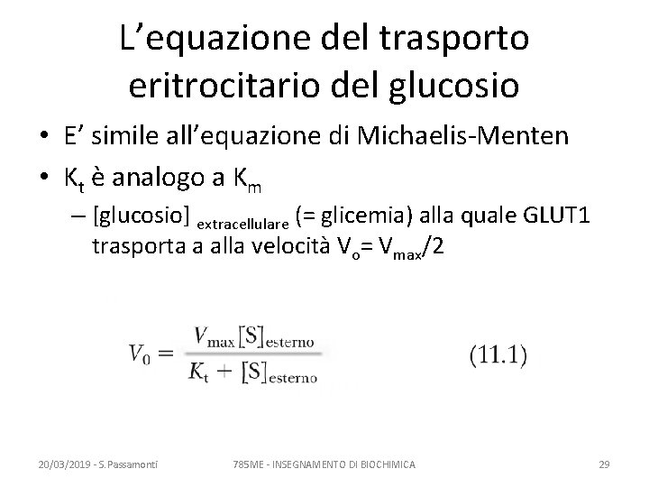 L’equazione del trasporto eritrocitario del glucosio • E’ simile all’equazione di Michaelis-Menten • Kt