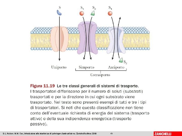 D. L. Nelson, M. M. Cox, Introduzione alla biochimica di Lehninger-Sesta edizio ne, Zanichelli