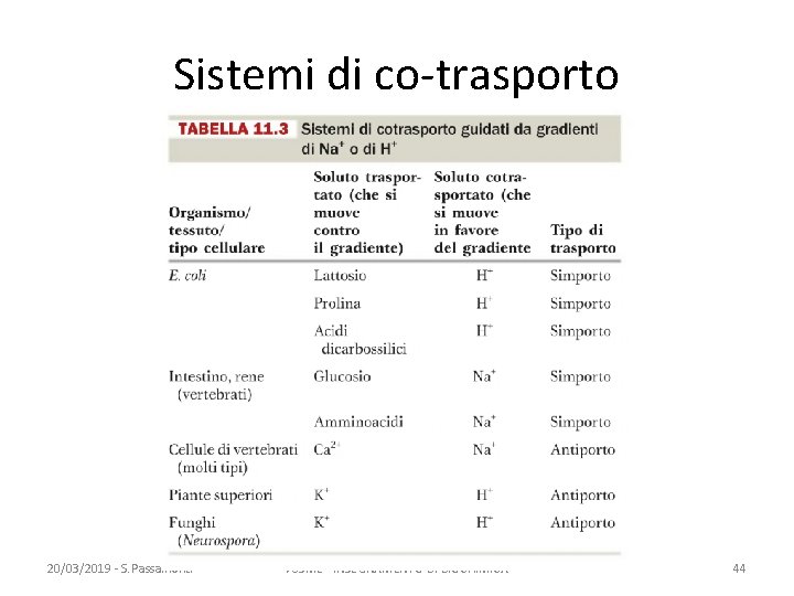 Sistemi di co-trasporto 20/03/2019 - S. Passamonti 785 ME - INSEGNAMENTO DI BIOCHIMICA 44