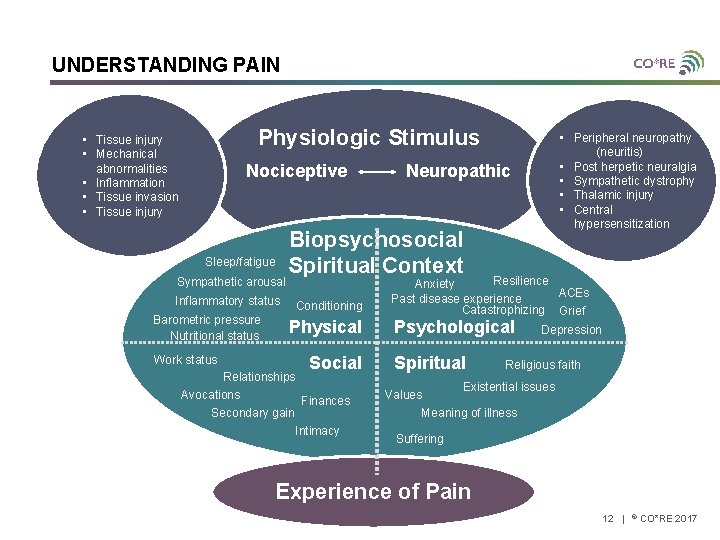 UNDERSTANDING PAIN Physiologic Stimulus • Tissue injury • Mechanical abnormalities • Inflammation • Tissue