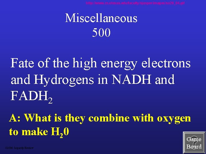 http: //www. zo. utexas. edu/faculty/sjasper/images/so 28_04. gif Miscellaneous 500 Fate of the high energy