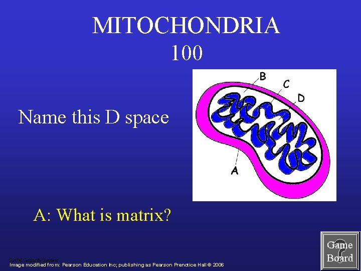 MITOCHONDRIA 100 Name this D space A: What is matrix? S 2 C 06