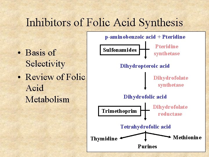 Inhibitors of Folic Acid Synthesis p-aminobenzoic acid + Pteridine • Basis of Selectivity •