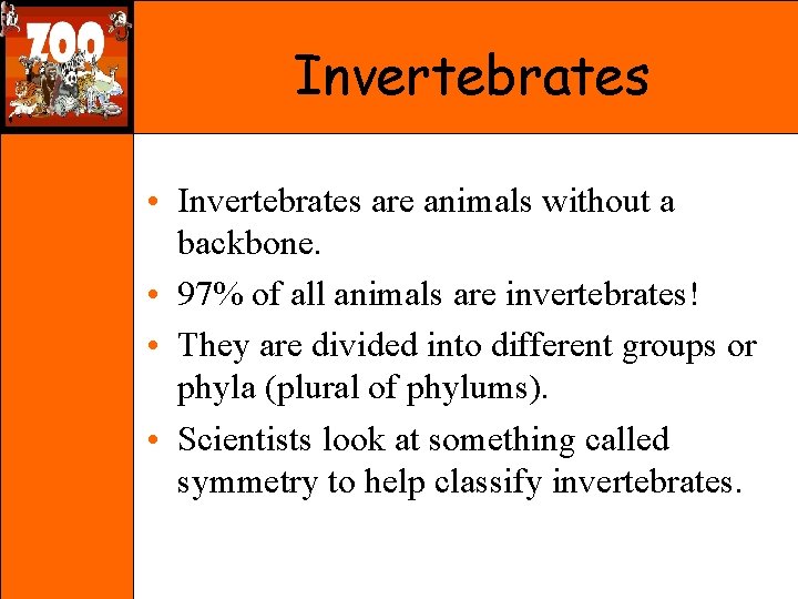 Invertebrates • Invertebrates are animals without a backbone. • 97% of all animals are
