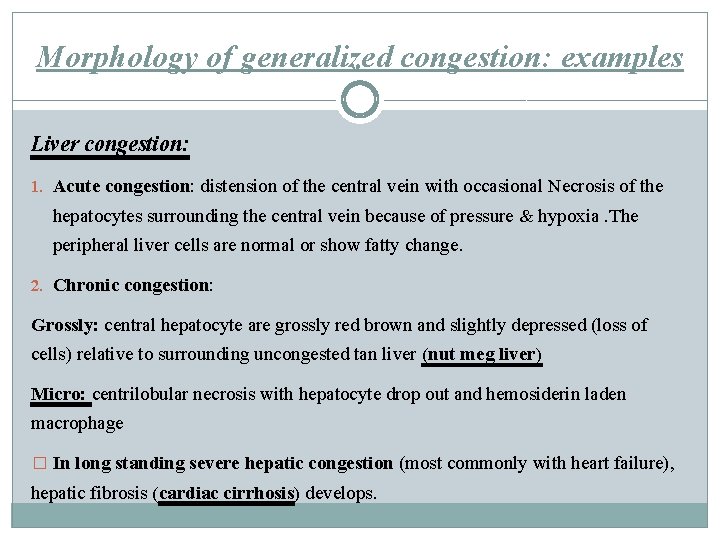 Morphology of generalized congestion: examples Liver congestion: 1. Acute congestion: distension of the central