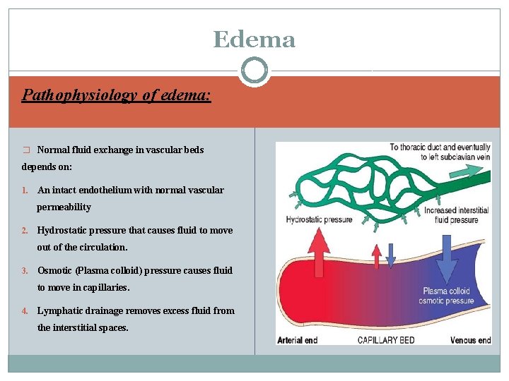 Edema Pathophysiology of edema: � Normal fluid exchange in vascular beds depends on: 1.