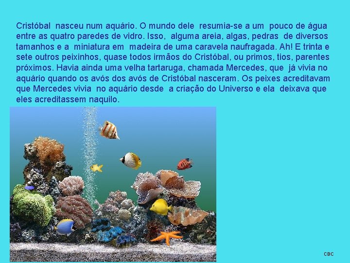 Cristóbal nasceu num aquário. O mundo dele resumia-se a um pouco de água entre Cristóbal nasceu num aquário. O mundo dele resumia-se a um pouco de água entre