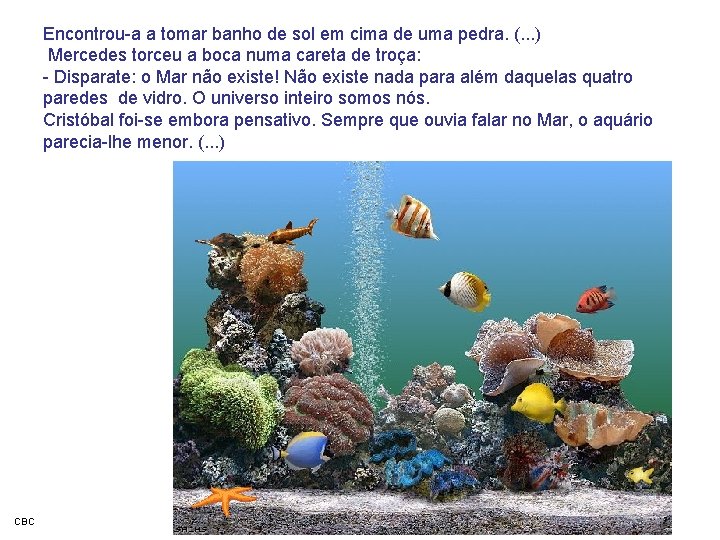 Encontrou-a a tomar banho de sol em cima de uma pedra. (. . . Encontrou-a a tomar banho de sol em cima de uma pedra. (. . .