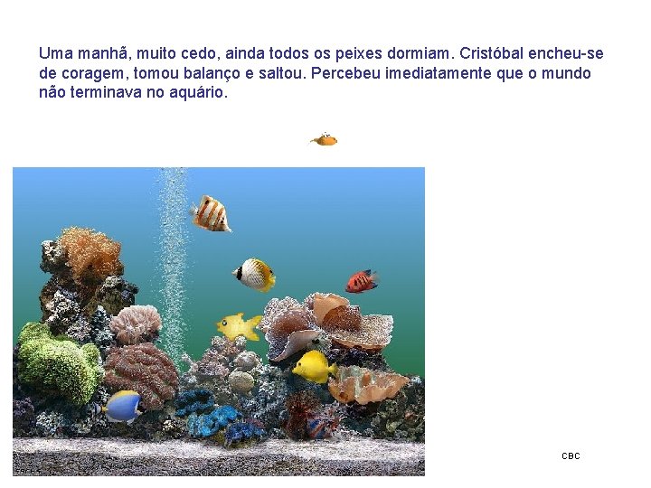 Uma manhã, muito cedo, ainda todos os peixes dormiam. Cristóbal encheu-se de coragem, tomou Uma manhã, muito cedo, ainda todos os peixes dormiam. Cristóbal encheu-se de coragem, tomou