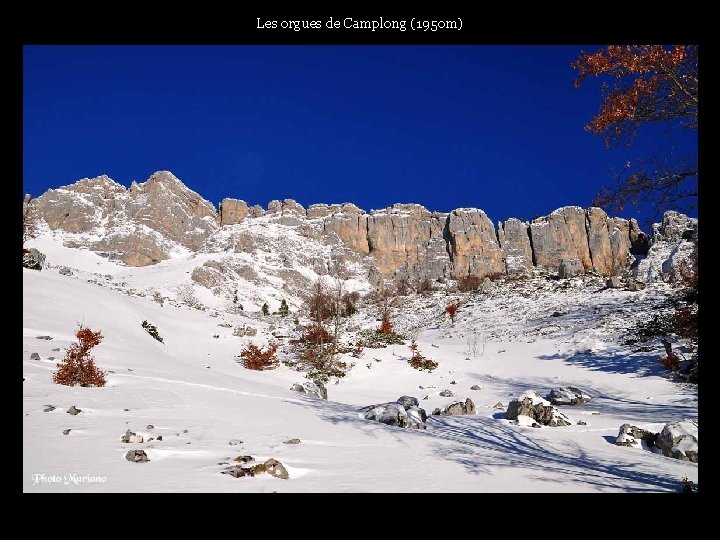 Les orgues de Camplong (1950 m) . . . 