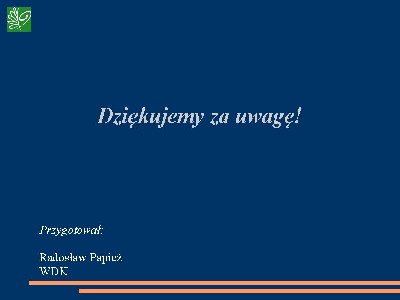 Dziękujemy za uwagę! Przygotował: Radosław Papież WDK 