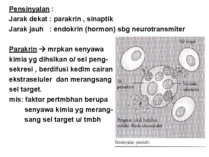 Pensinyalan : Jarak dekat : parakrin , sinaptik Jarak jauh : endokrin (hormon) sbg