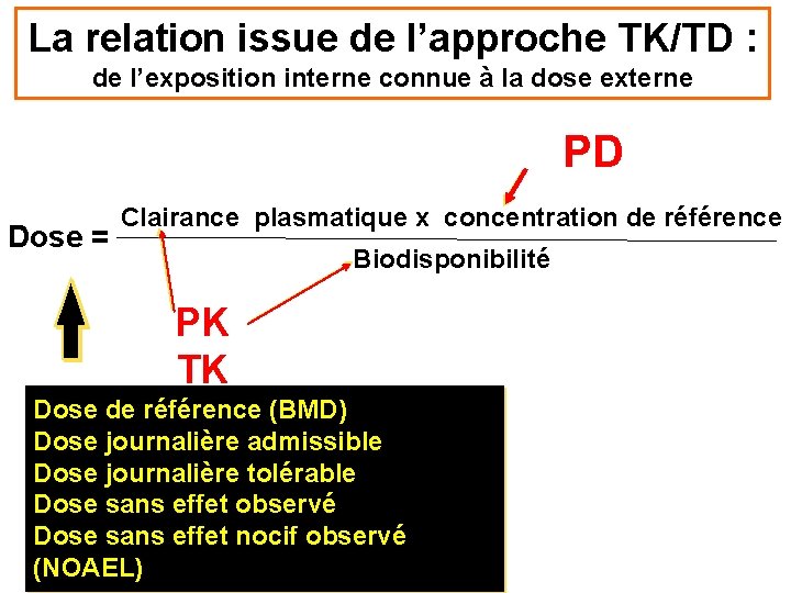 La relation issue de l’approche TK/TD : de l’exposition interne connue à la dose