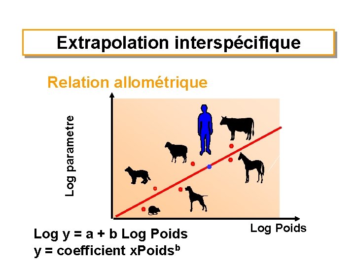 Extrapolation interspécifique Log parametre Relation allométrique Log y = a + b Log Poids