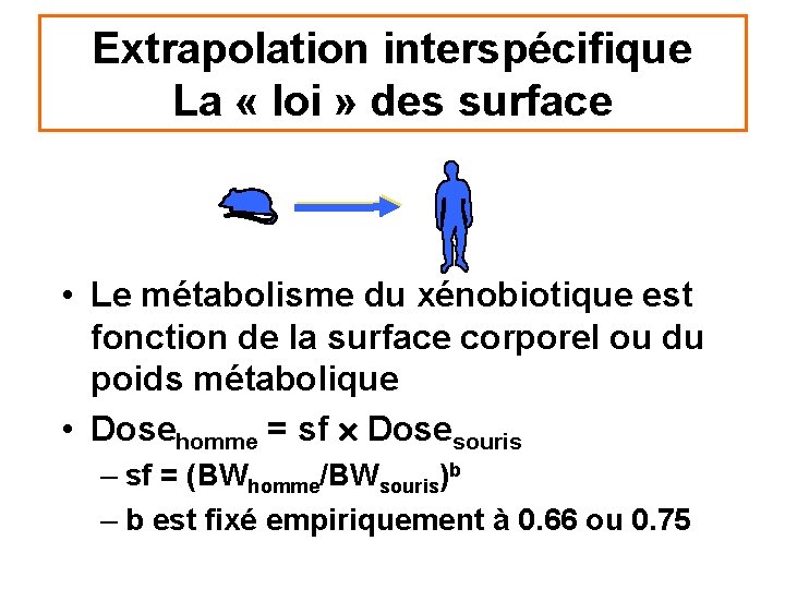 Extrapolation interspécifique La « loi » des surface • Le métabolisme du xénobiotique est