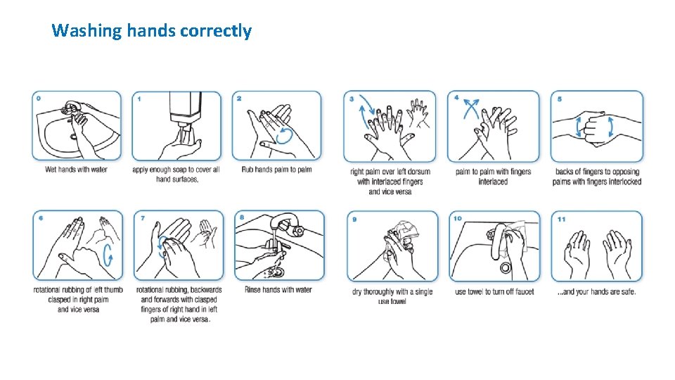 Washing hands correctly 