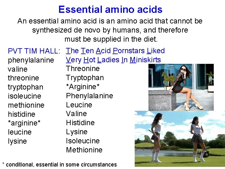 Essential amino acids An essential amino acid is an amino acid that cannot be