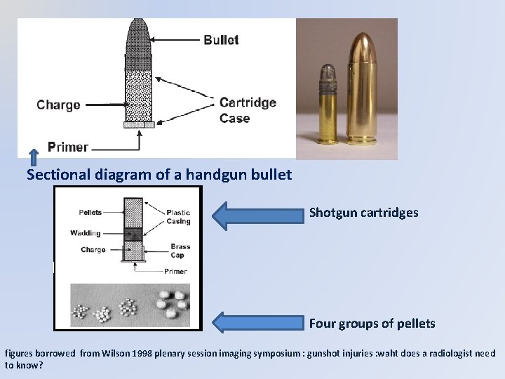 Sectional diagram of a handgun bullet Shotgun cartridges Four groups of pellets figures borrowed