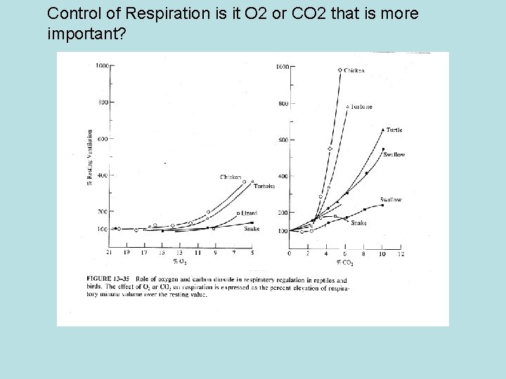 Control of Respiration is it O 2 or CO 2 that is more important?