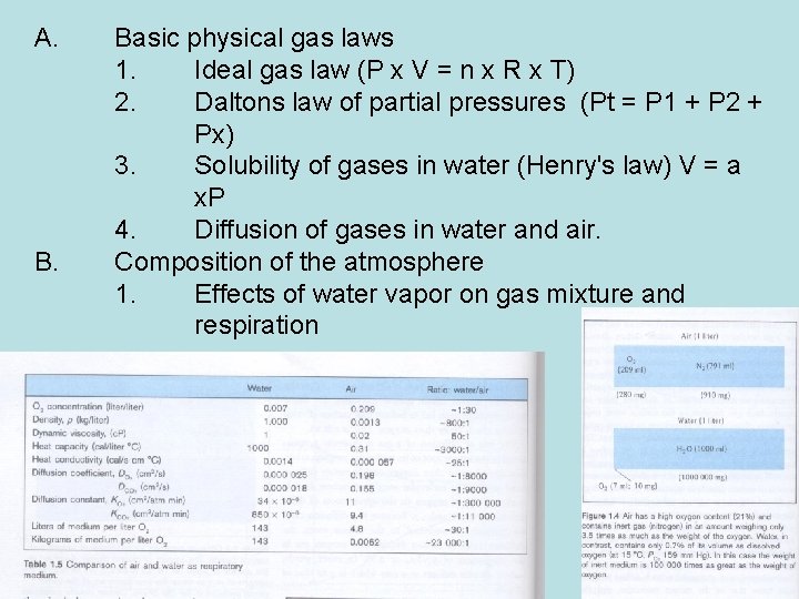 A. Basic physical gas laws 1. Ideal gas law (P x V = n