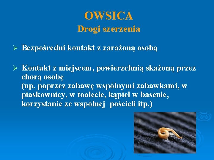 OWSICA Drogi szerzenia Ø Bezpośredni kontakt z zarażoną osobą Ø Kontakt z miejscem, powierzchnią