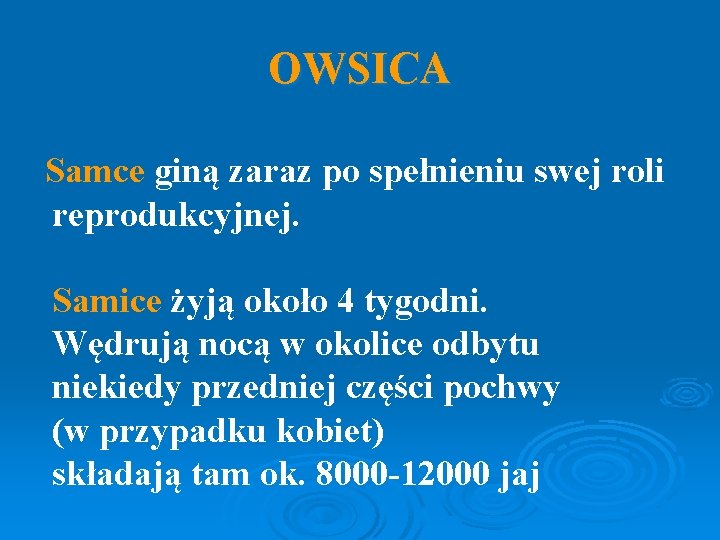 OWSICA Samce giną zaraz po spełnieniu swej roli reprodukcyjnej. Samice żyją około 4 tygodni.