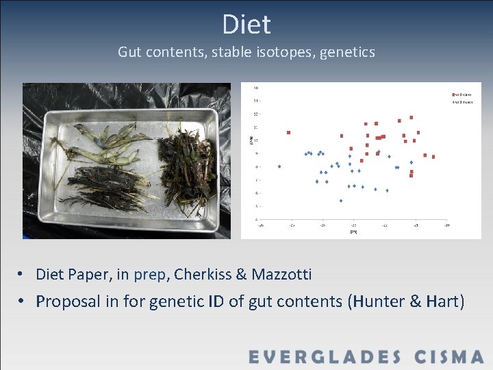 Diet Gut contents, stable isotopes, genetics • Diet Paper, in prep, Cherkiss & Mazzotti