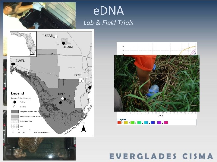e. DNA Lab & Field Trials 