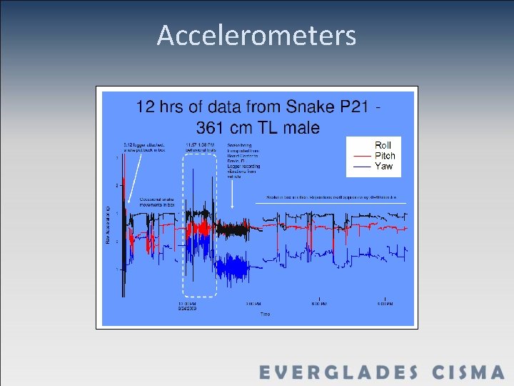 Accelerometers 