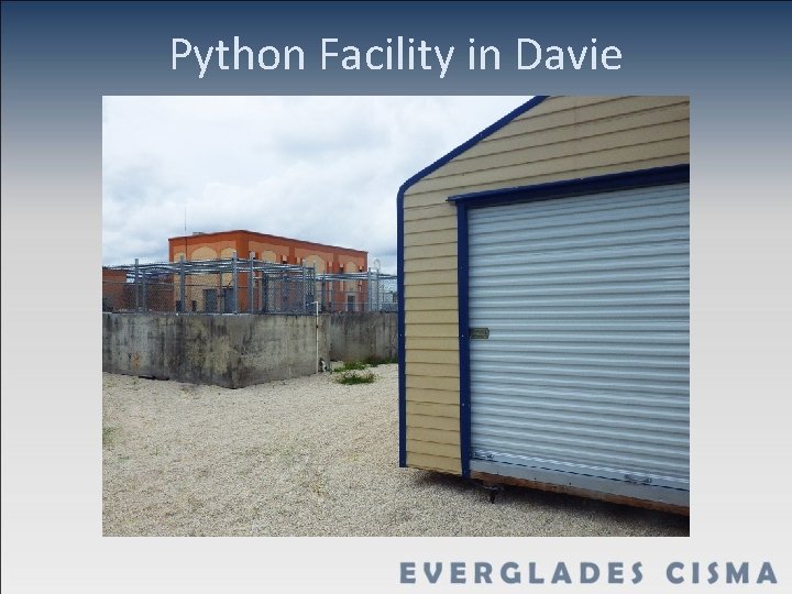 Python Facility in Davie 