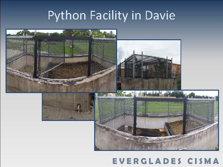 Python Facility in Davie 