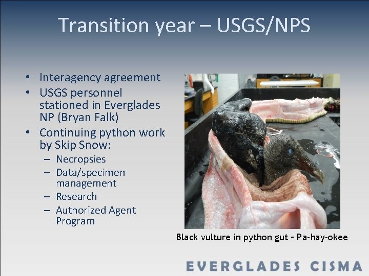 Transition year – USGS/NPS • Interagency agreement • USGS personnel stationed in Everglades NP