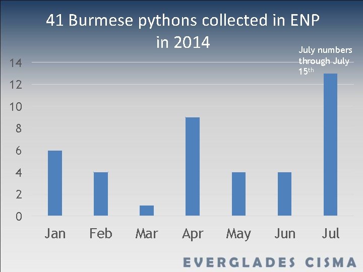 41 Burmese pythons collected in ENP in 2014 July numbers through July 15 th