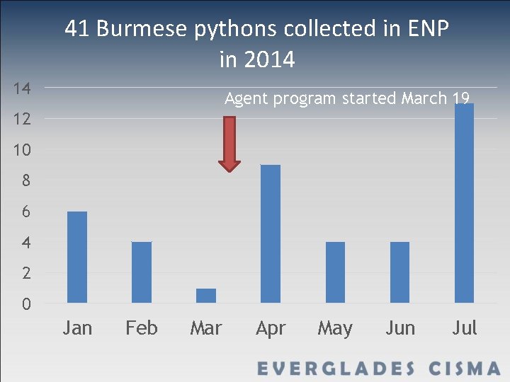 41 Burmese pythons collected in ENP in 2014 14 Agent program started March 19