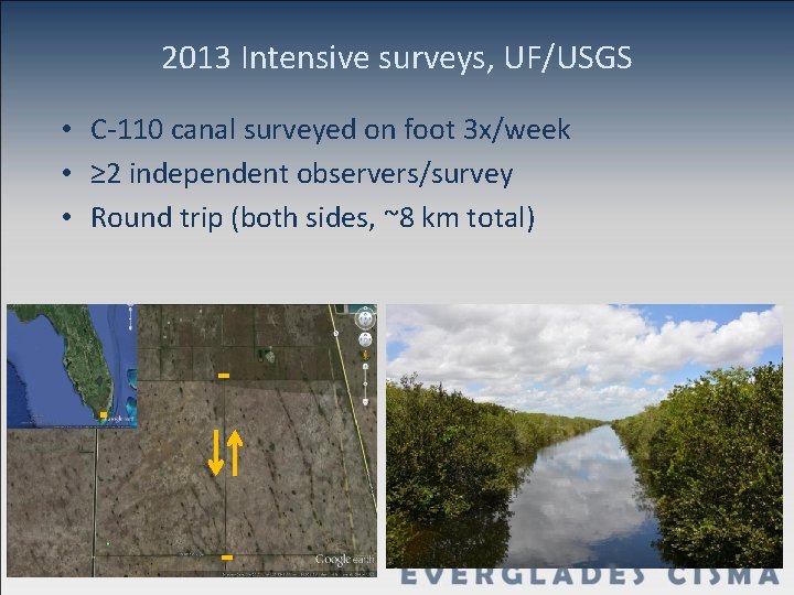 2013 Intensive surveys, UF/USGS • C-110 canal surveyed on foot 3 x/week • ≥