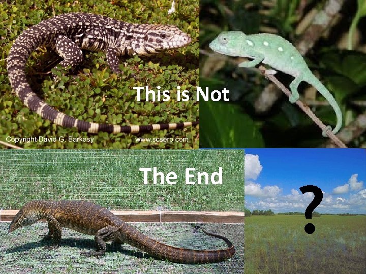 This is Not The End ? 