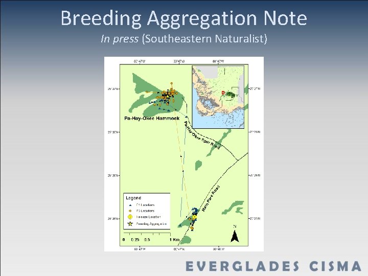 Breeding Aggregation Note In press (Southeastern Naturalist) 